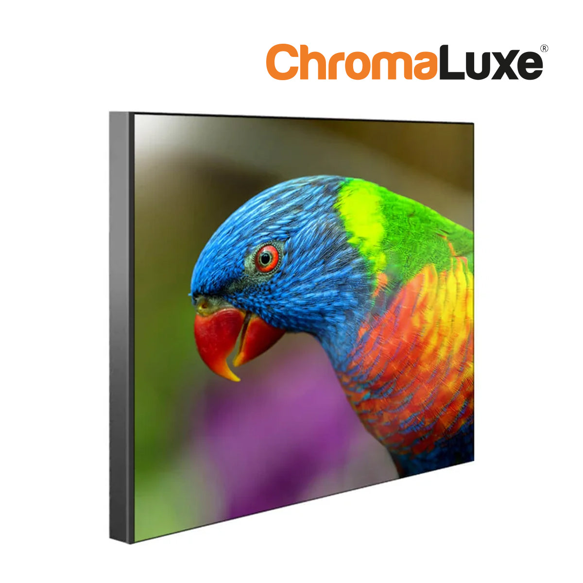 ChromaLuxe Chamfer Sublimation Wall Panel with Black Edge Parrot