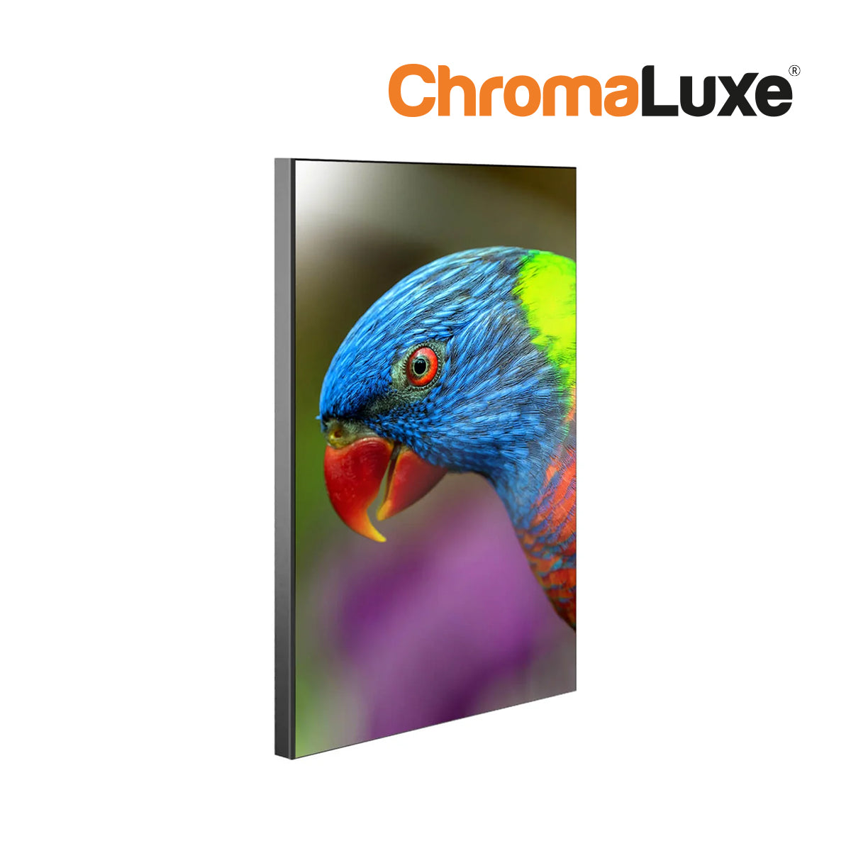 ChromaLuxe Chamfer Sublimation Wall Panel with Black Edge Parrot