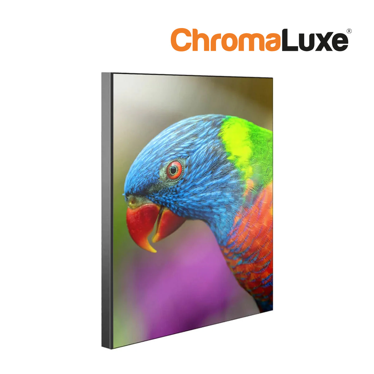 ChromaLuxe Chamfer Sublimation Wall Panel with Edge Parrot