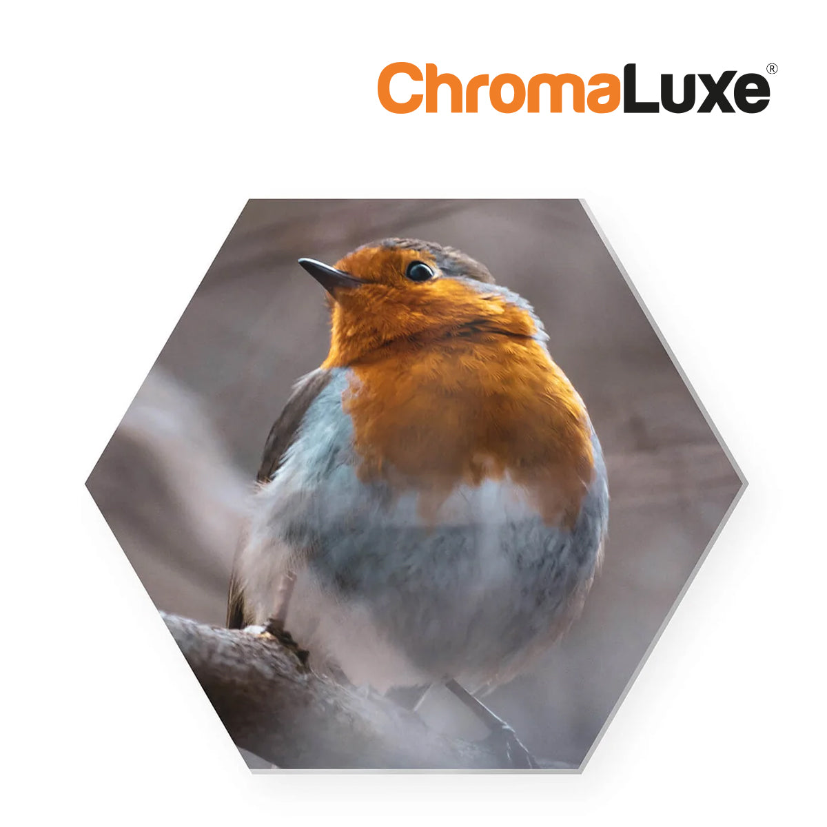 ChromaLuxe Hexagon Wall Tile with Mount With Bird