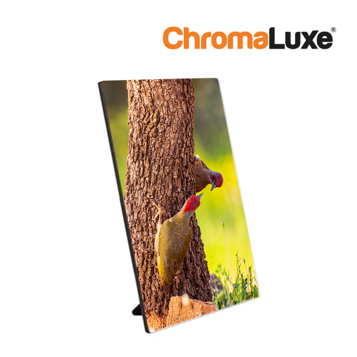 ChromaLuxe Sublimation Photo Panel with Easel 178 x 127 x 6.35 mm - 4610