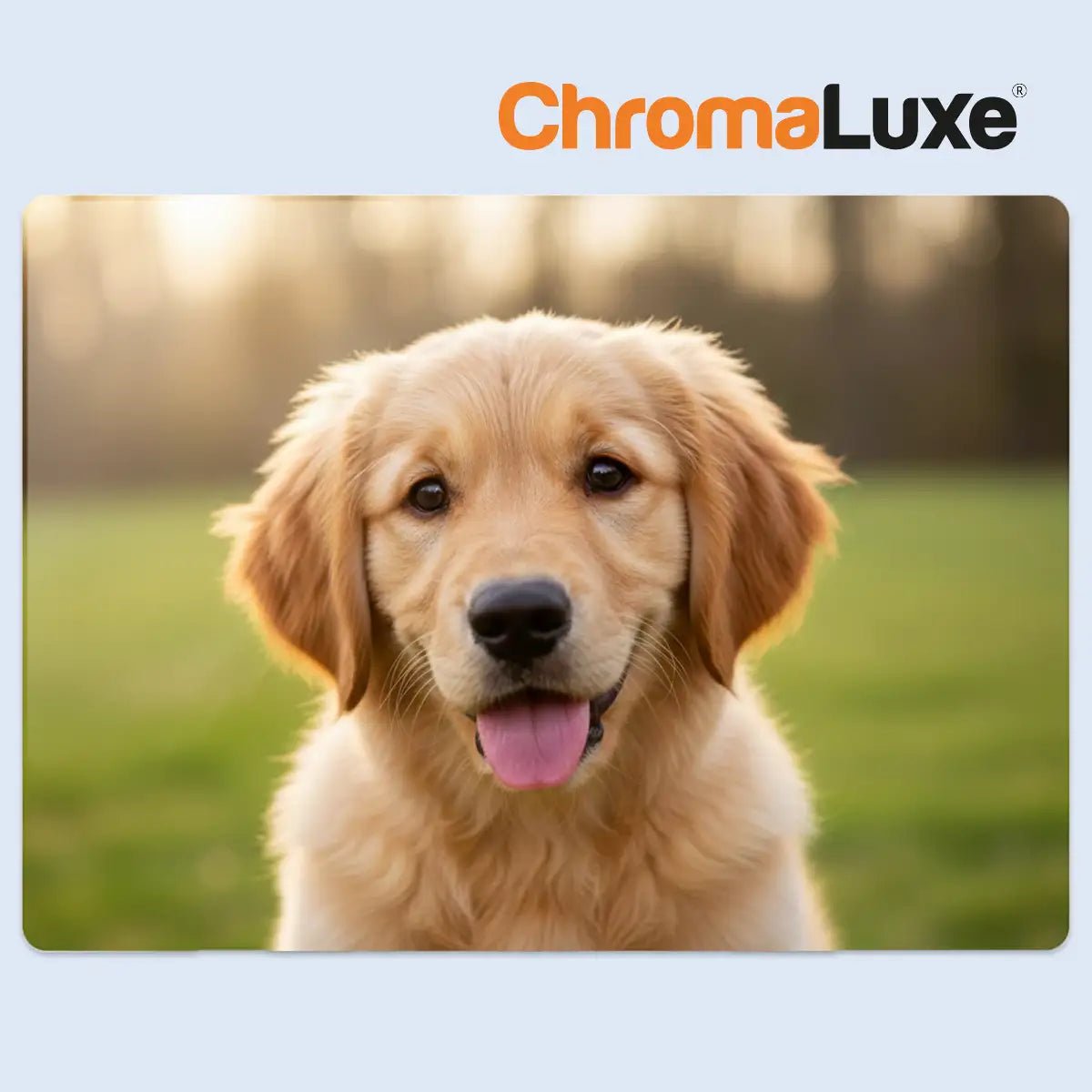 ChromaLuxe Sublimation Photo Panel 254 x 203 x 1.14 mm - 5881