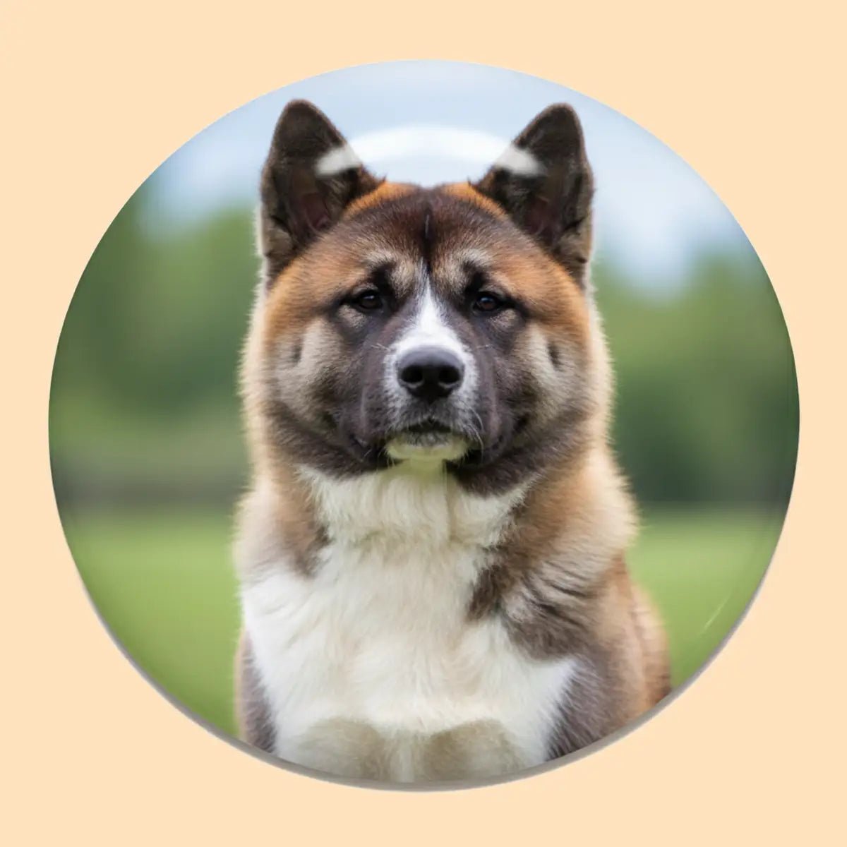 Printable Button with Magnetic Back Ø37 mm / 1.46” – Round