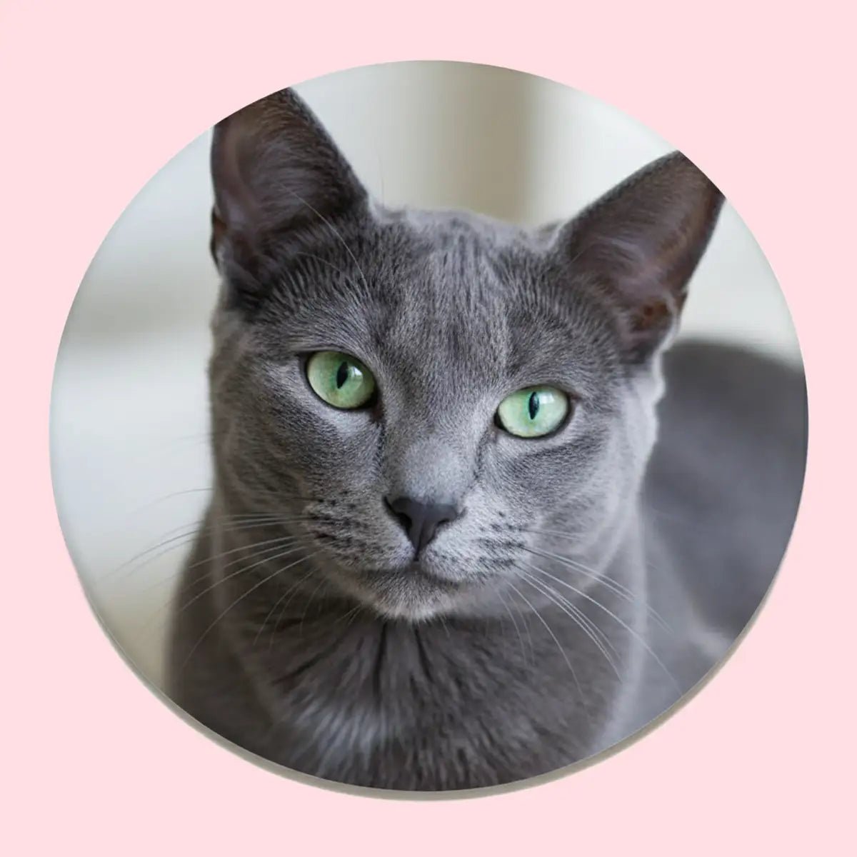 Printable Button with Magnetic Back Ø56 mm / 2.2” – Round