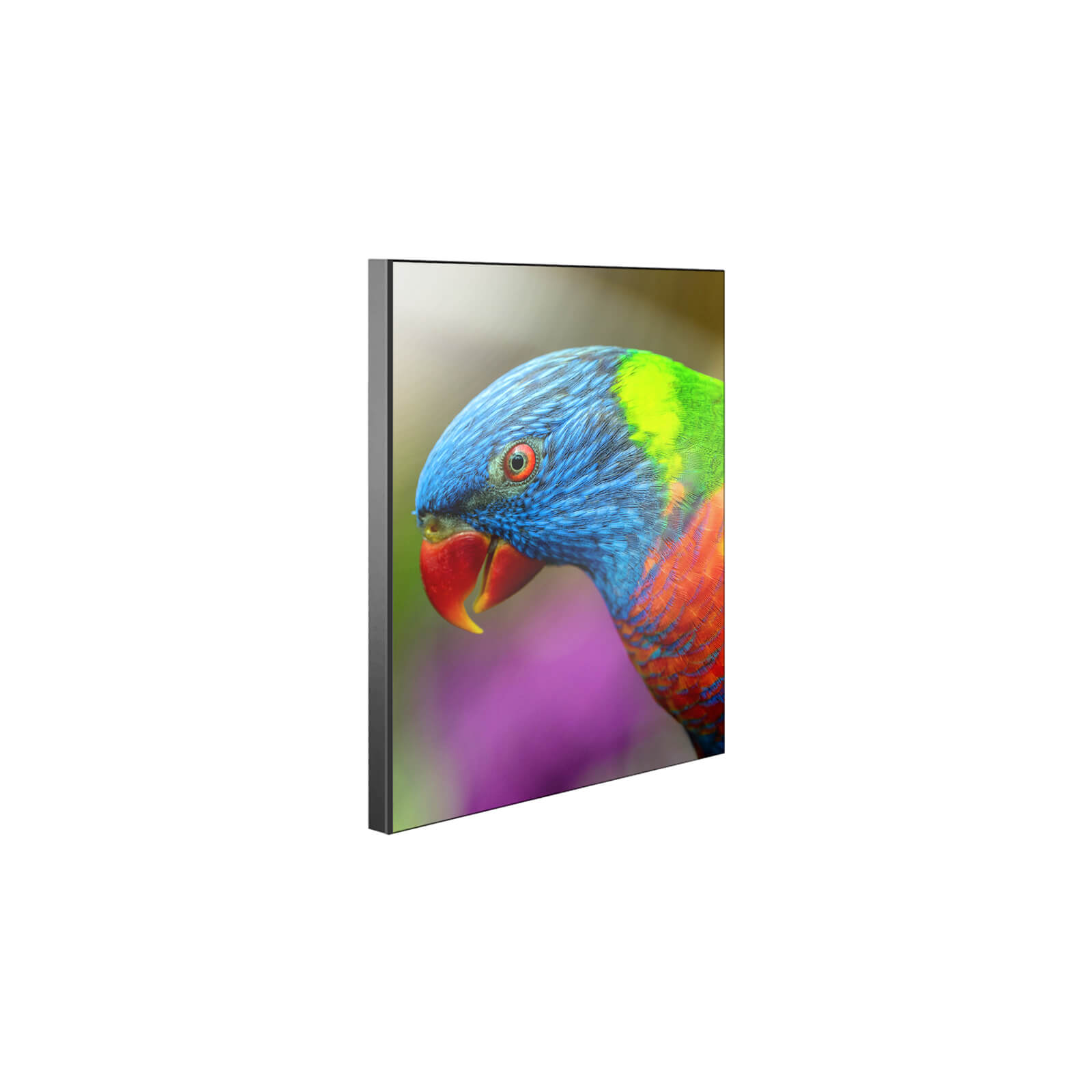 ChromaLuxe Chamfer Sublimation Wall Panel with Edge Parrot
