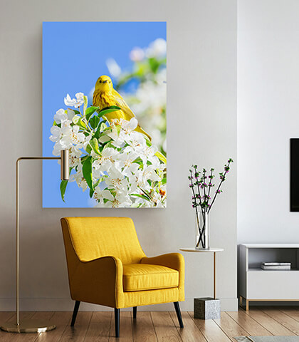 Chromaluxe Sublimation Aluminium Photo Panels