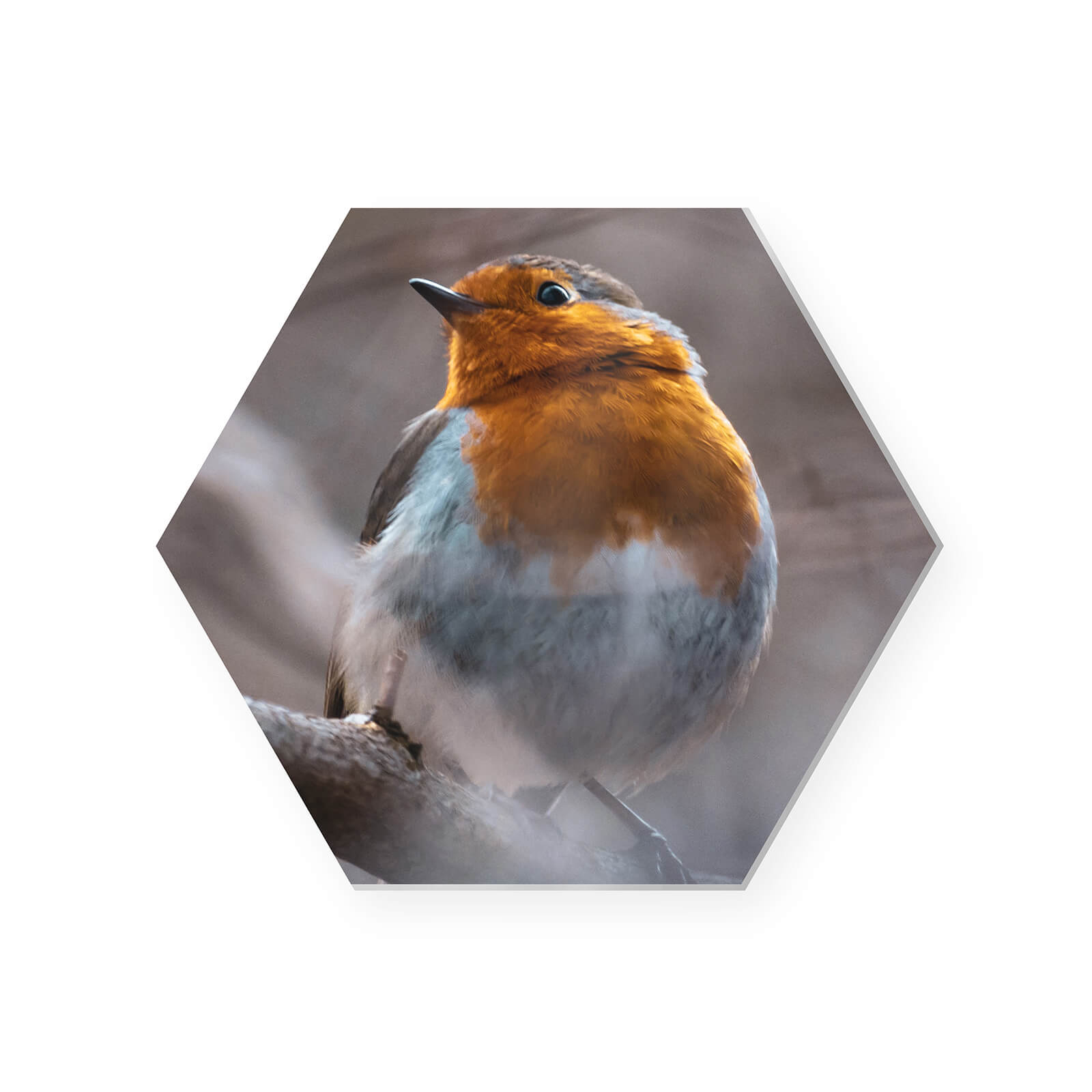 Chromaluxe Sublimation Photo Panel with Kickstand - Hexagon 165.9 x 190.5 x 0.25 mm Bird