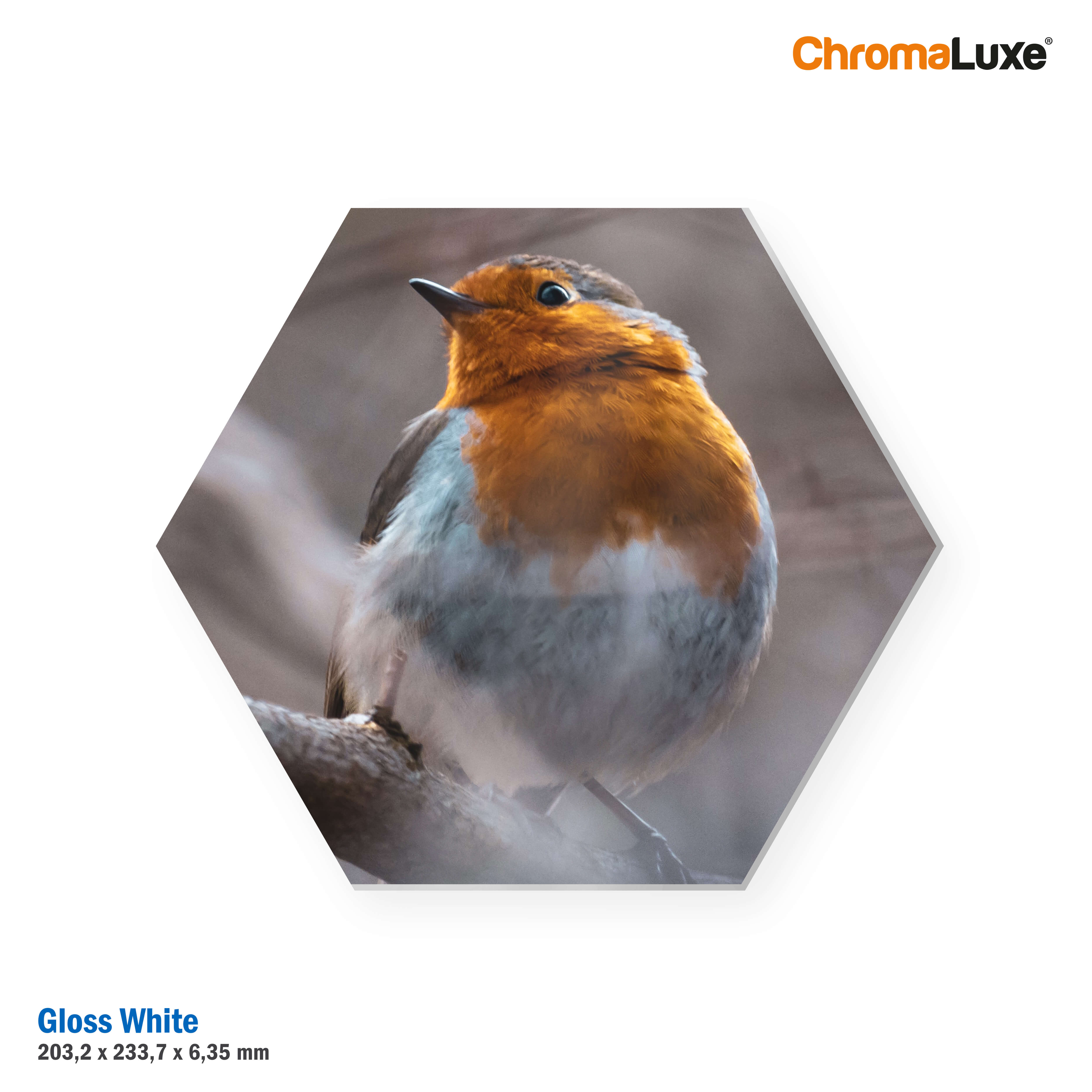 ChromaLuxe Hexagon Wall Tile with Mount With Bird