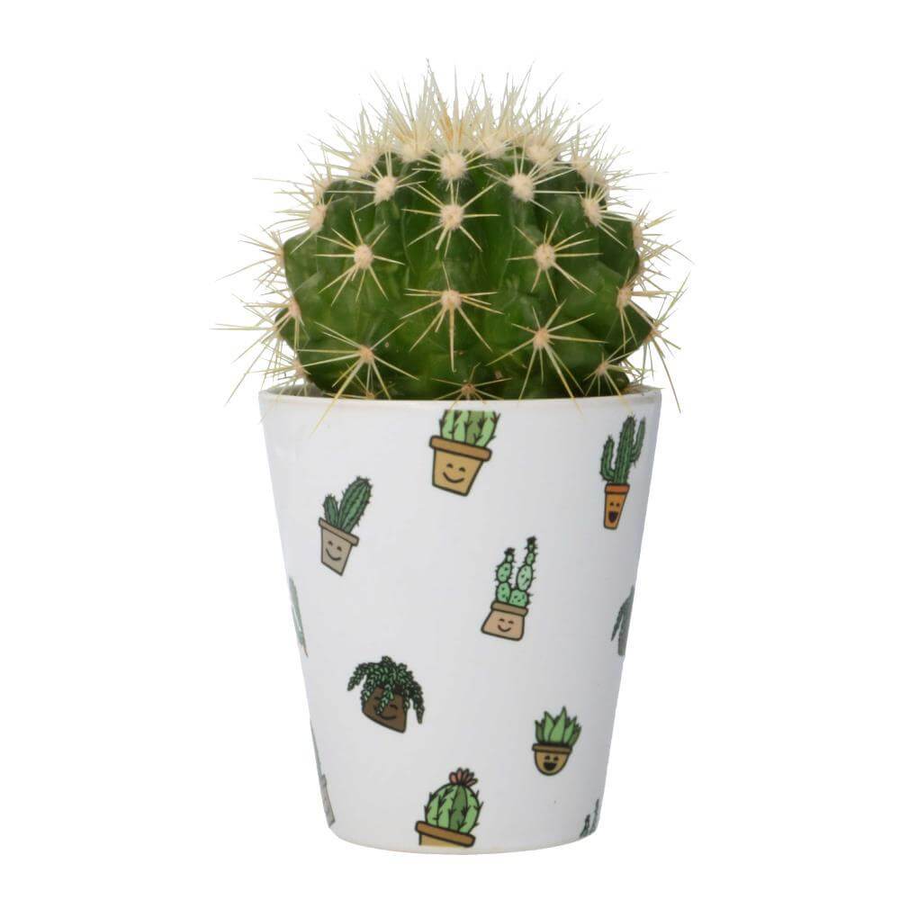 Sublimation Flowerpot 10oz White Printed